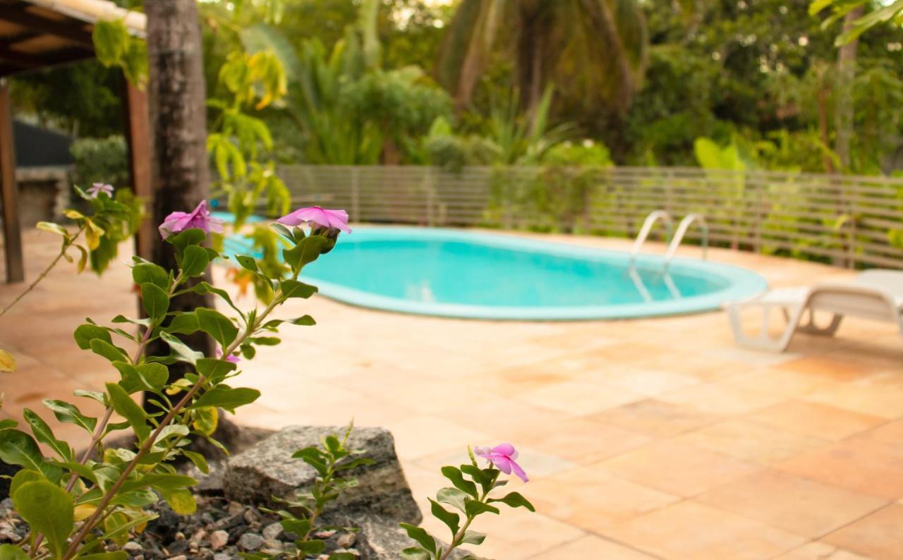 Hostel La Isla Praia de Pipa Eksteriør billede
